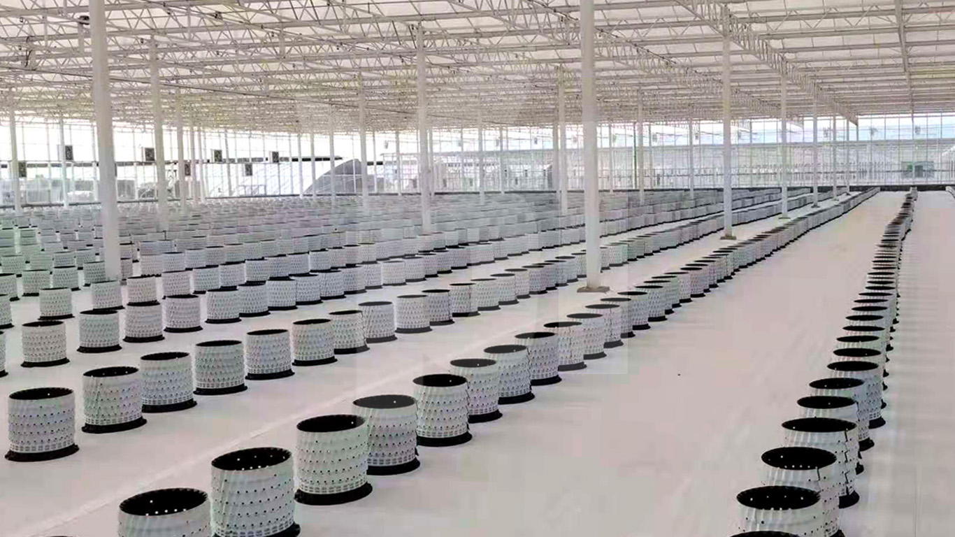 Rethinking the Zephyr