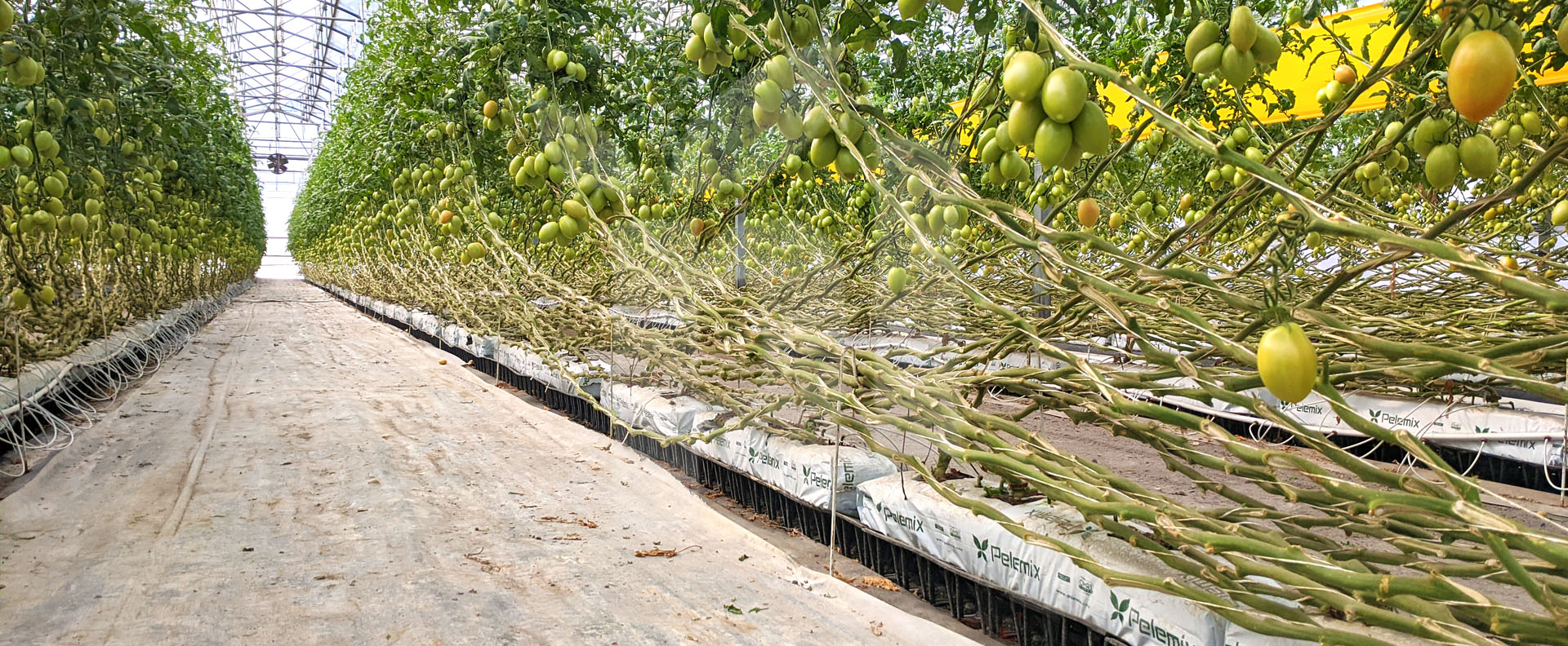 Substrate Slab Spacers: Choosing the Best Option