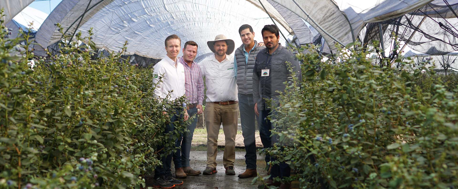 Plantlogic 5th Anniversary